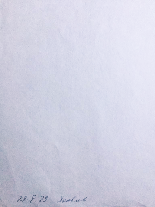 Цветок под лучами солнца. Из цикла больничных рисунков