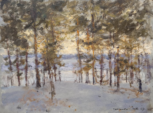 Зимний пейзаж. Саханово