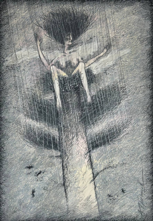 Гнездо