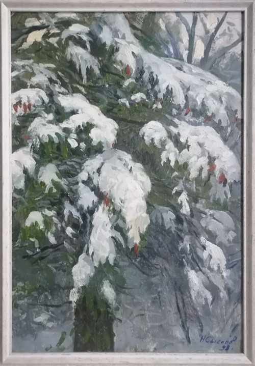 Заснеженная ель