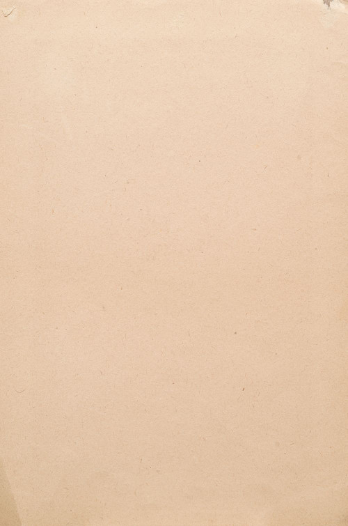 ‎Портрет Маруси Бурлюк