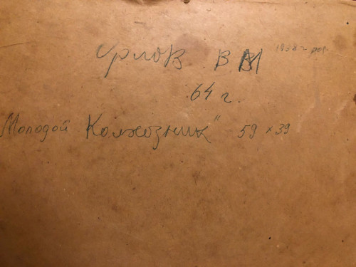 Молодой колхозник