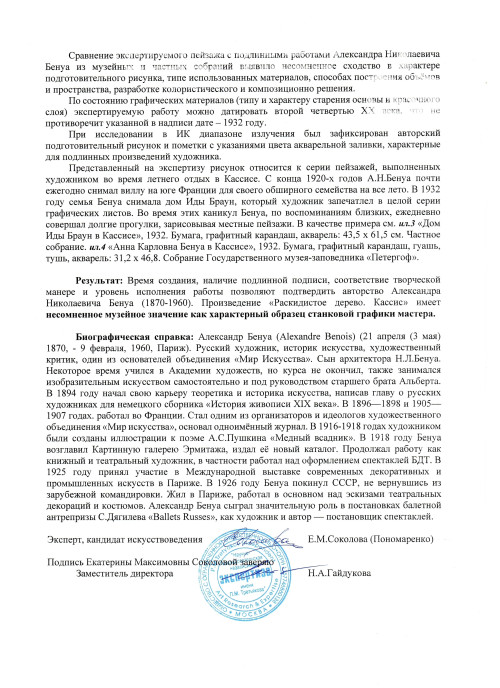 Раскидистое дерево. Кассис