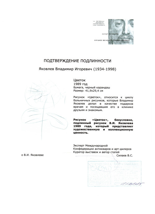 Цветок. Из цикла больничных рисунков