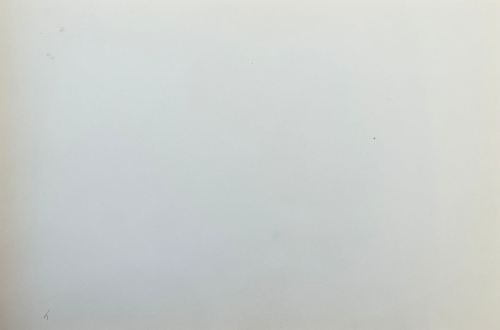 Кролик. Из цикла больничных рисунков