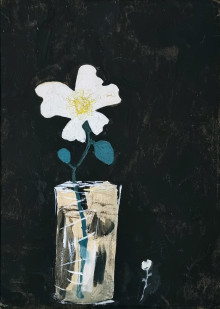 Белый цветок в стакане на черном фоне 