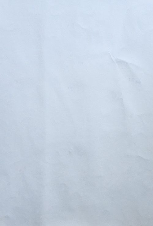 Девушка в шляпе