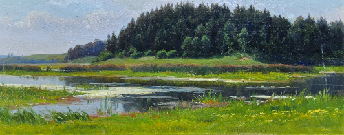 Яхромские заводи