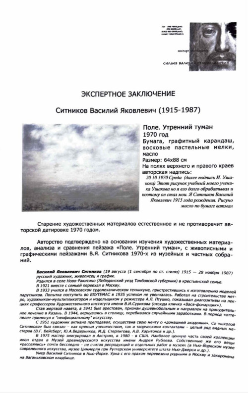 Поле. Утренний туман