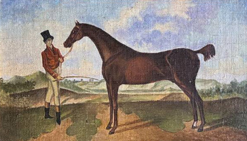 Наездник с лошадью. Мой Принц