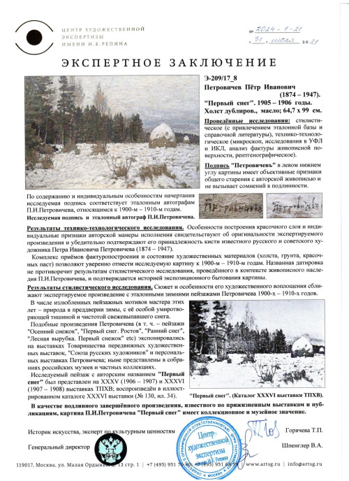 Первый снег