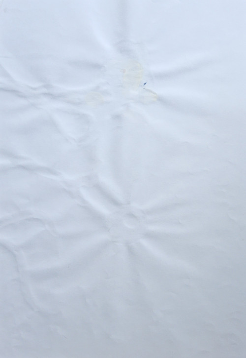 Девушка в купальнике 