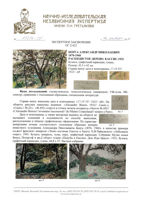 Раскидистое дерево. Кассис