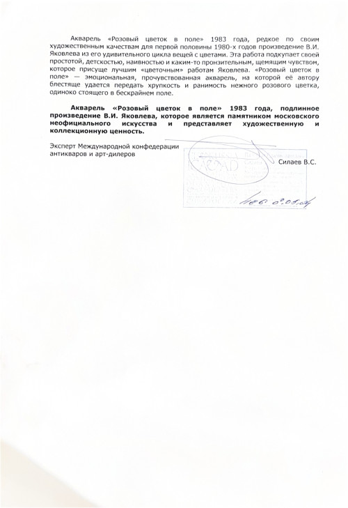 Розовый цветок в поле