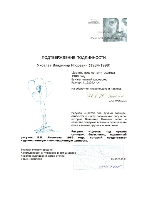 Цветок под лучами солнца. Из цикла больничных рисунков