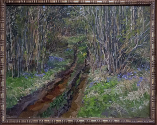 Рубцы от лесовозов
