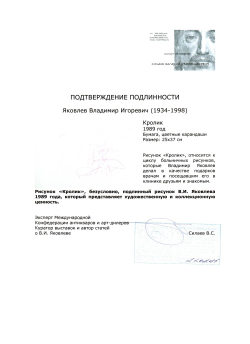 Кролик. Из цикла больничных рисунков