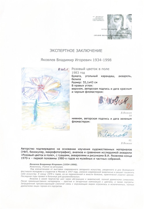 Розовый цветок в поле