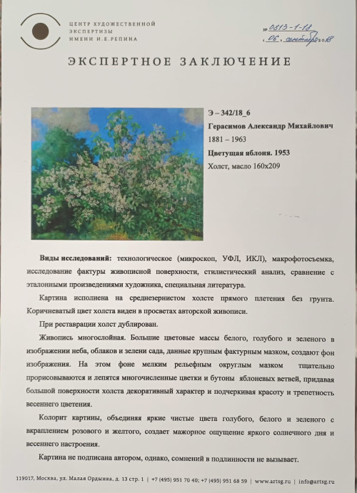 Цветущая яблоня