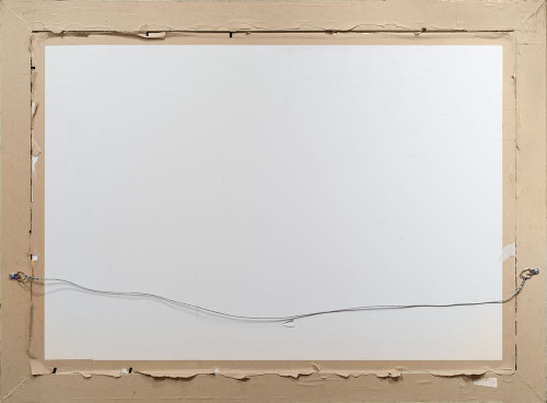 Тюльпаны и яблоки